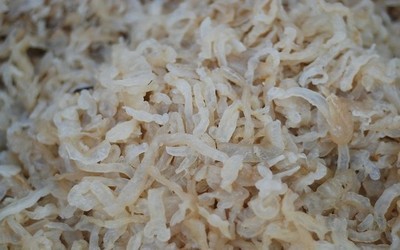 【專業(yè)供應(yīng)海鮮干貨海蜇絲(廠家直銷 批零兼可,歡迎來電咨詢)】價格,廠家,圖片,鮮活/冷凍水產(chǎn),連云港大橋海產(chǎn)品銷售-